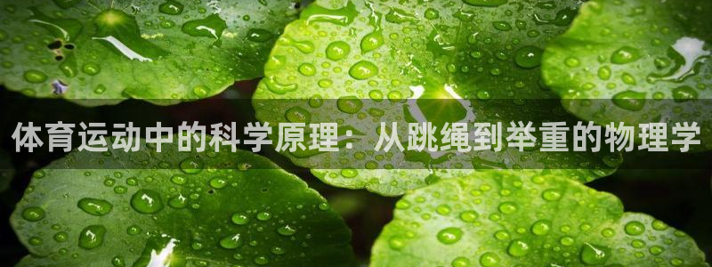 体育运动中的科学原理：从跳绳到举重的物理学