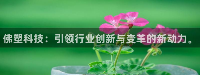 佛塑科技：引领行业创新与变革的新动力。