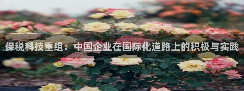 保税科技重组：中国企业在国际化道路上的积极与实践