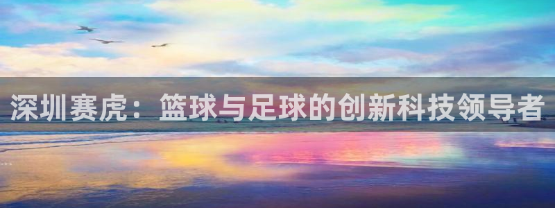 深圳赛虎：篮球与足球的创新科技领导者