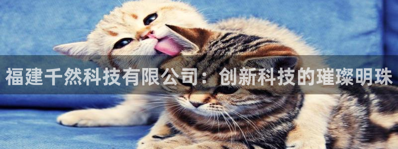 福建千然科技有限公司：创新科技的璀璨明珠