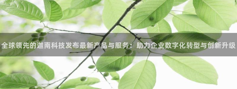 全球领先的迦南科技发布最新产品与服务：助力企业数字化转型与创新升级