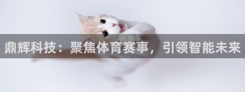 鼎辉科技：聚焦体育赛事，引领智能未来