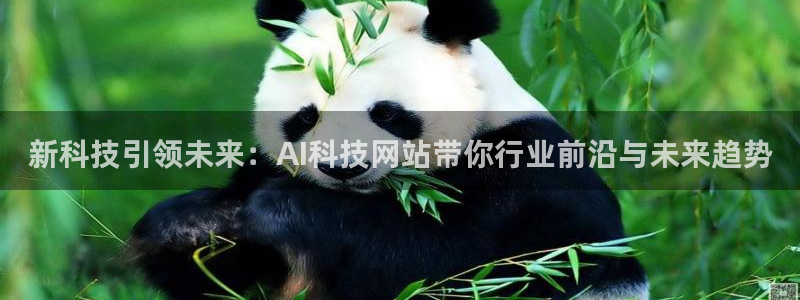 新科技引领未来：AI科技网站带你行业前沿与未来趋势