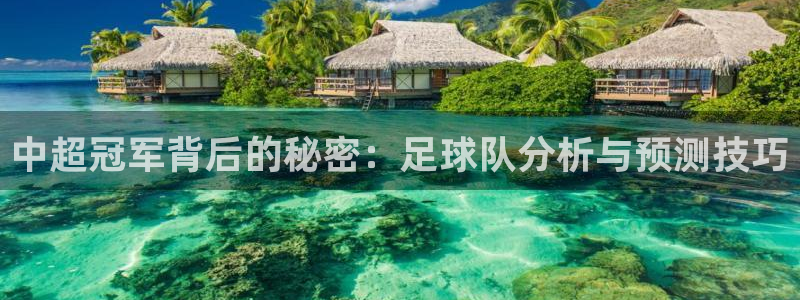 中超冠军背后的秘密：足球队分析与预测技巧