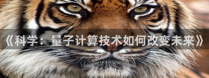 《科学：量子计算技术如何改变未来》
