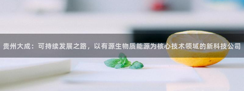贵州大成：可持续发展之路，以有源生物质能源为核心技术领域的新科技公司