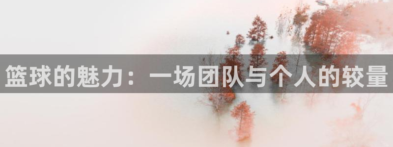 篮球的魅力：一场团队与个人的较量